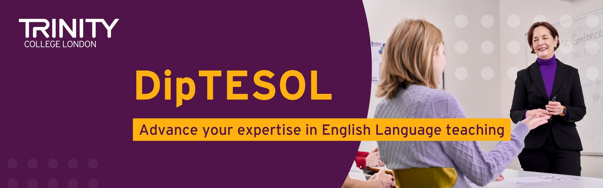 DipTESOL Website Banner 2 (1)