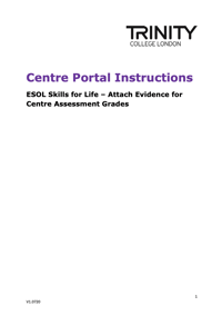 SfL CAG Centre Portal Instructions